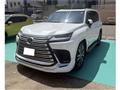 2023 Lexus LX