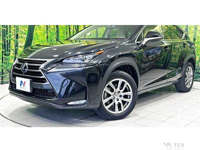 2017 Lexus NX