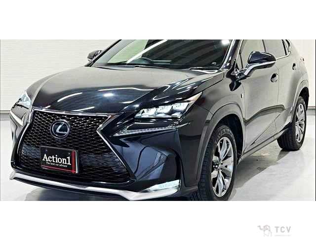 2017 Lexus NX