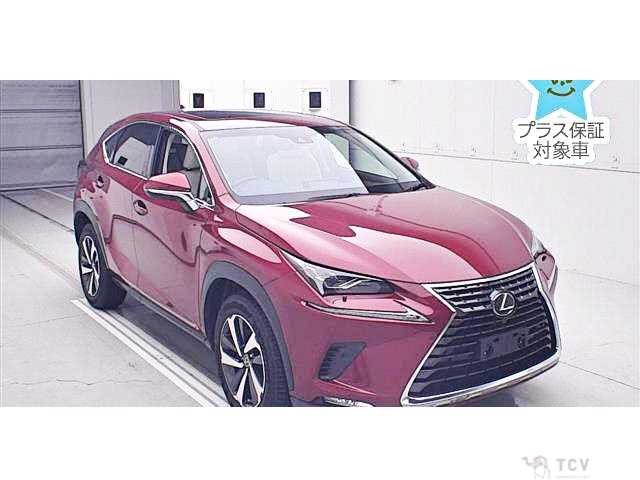 2017 Lexus NX