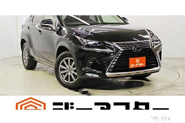 2017 Lexus NX