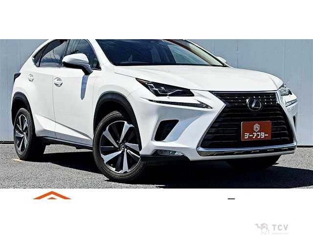 2017 Lexus NX