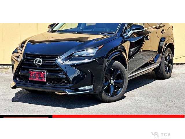 2017 Lexus NX
