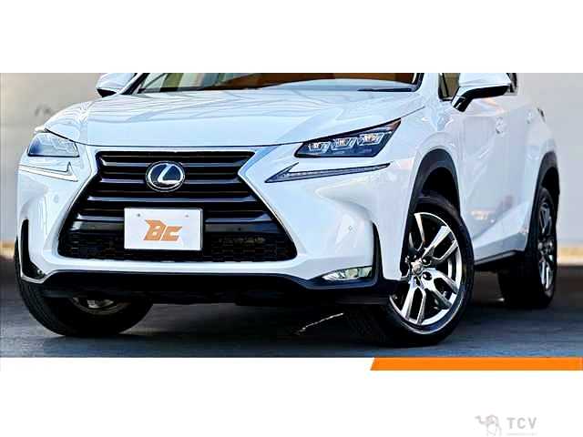 2017 Lexus NX