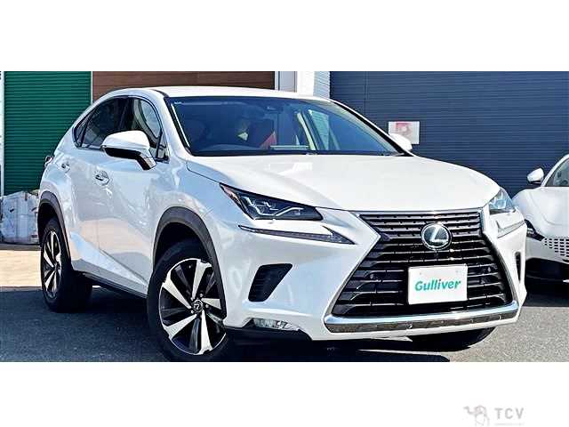 2017 Lexus NX