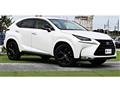 2017 Lexus NX