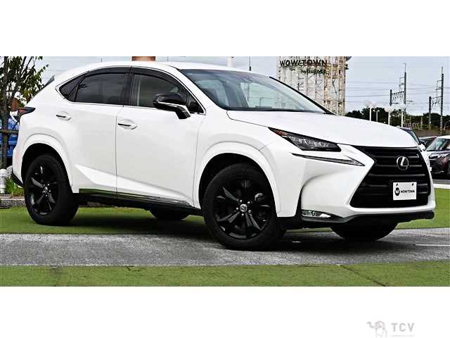 2017 Lexus NX