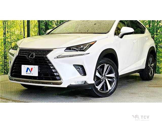 2017 Lexus NX
