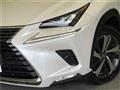 2017 Lexus NX