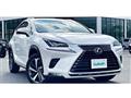 2017 Lexus NX