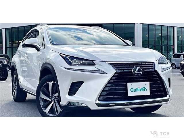 2017 Lexus NX
