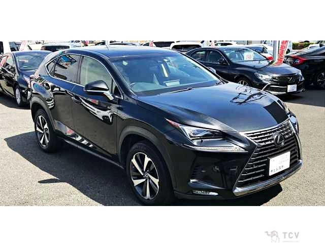 2017 Lexus NX