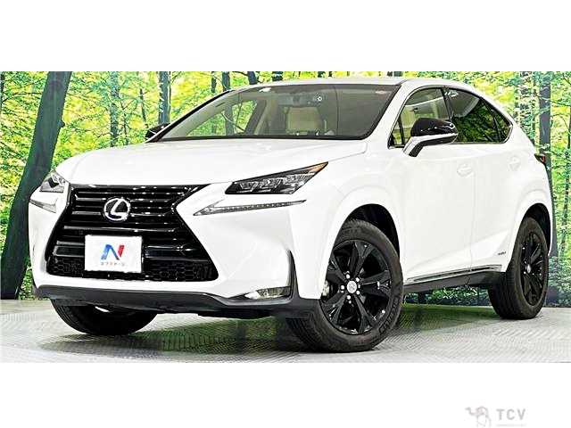 2017 Lexus NX