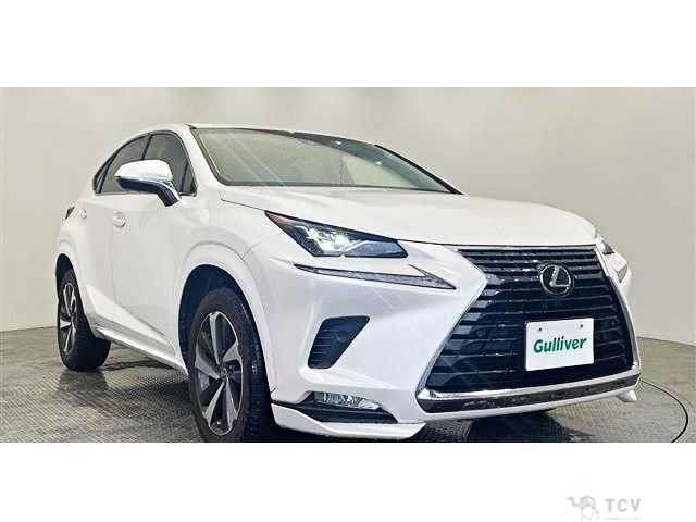 2017 Lexus NX
