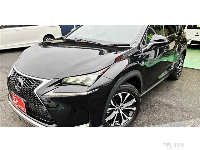 2017 Lexus NX