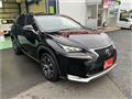 2017 Lexus NX