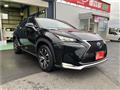 2017 Lexus NX