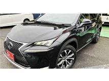 2017 Lexus NX