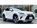 2017 Lexus NX