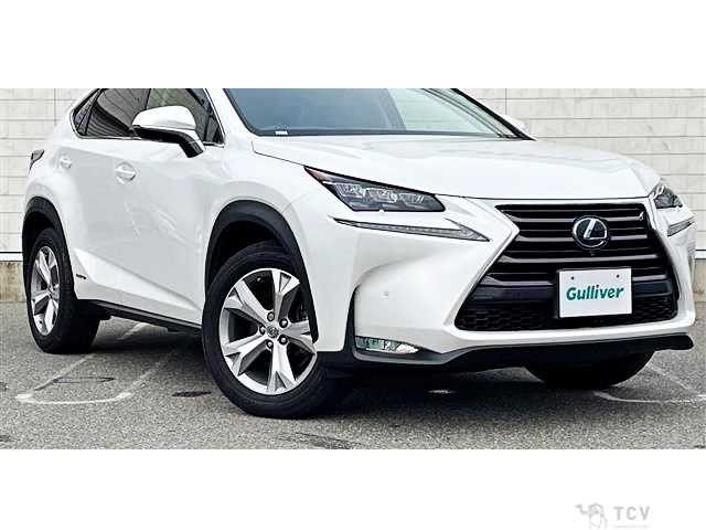 2017 Lexus NX