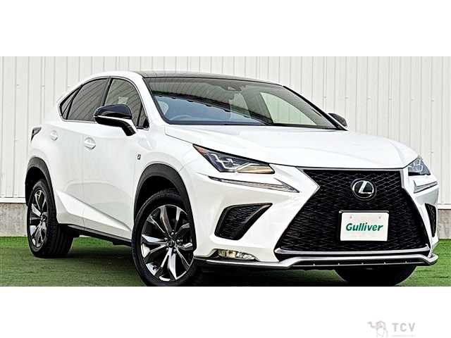 2017 Lexus NX