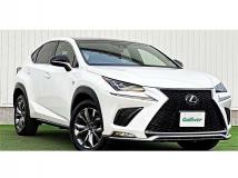 2017 Lexus NX