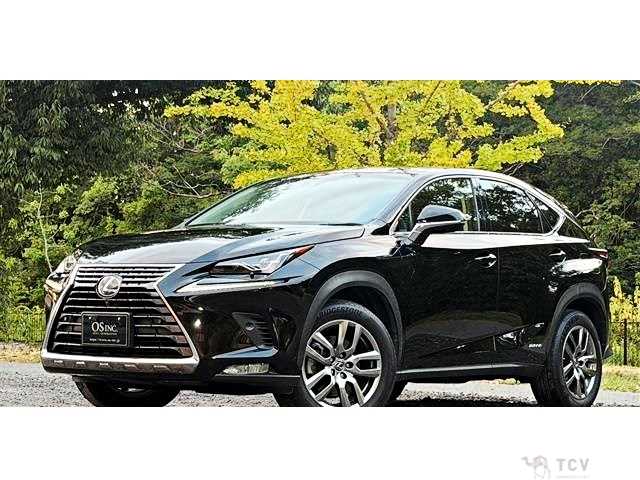 2017 Lexus NX