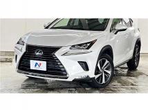 2017 Lexus NX