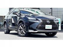 2017 Lexus NX