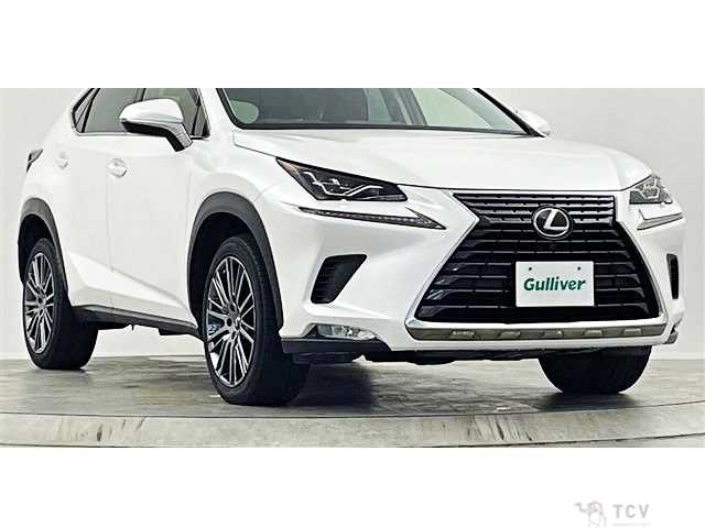 2017 Lexus NX