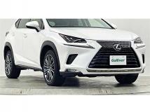 2017 Lexus NX