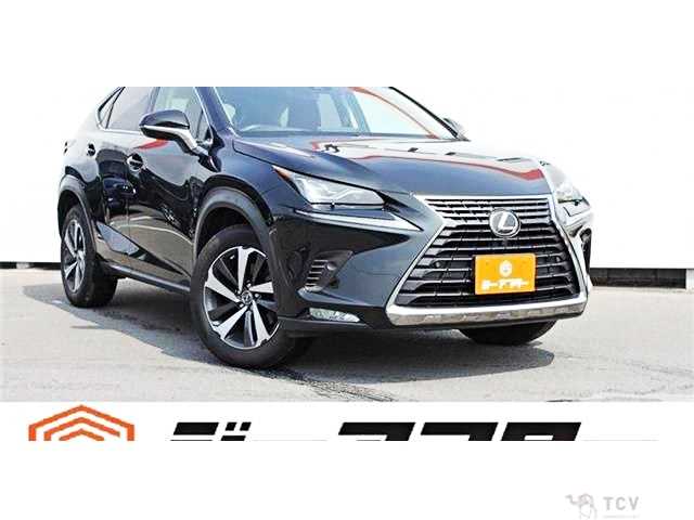 2017 Lexus NX