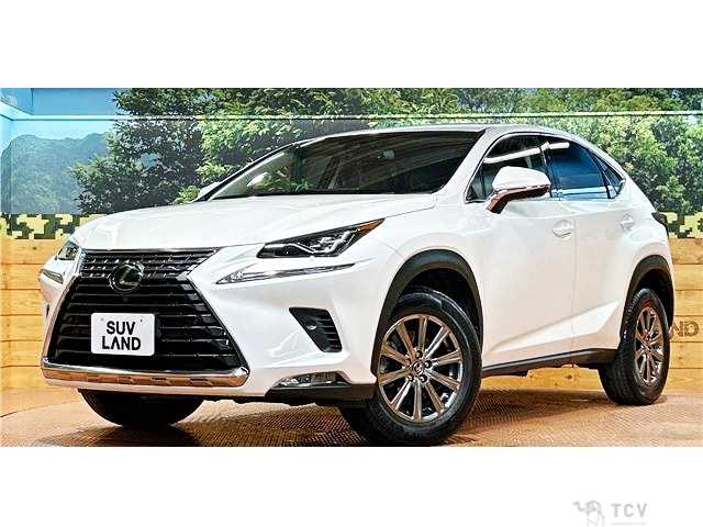 2017 Lexus NX