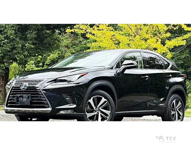 2017 Lexus NX