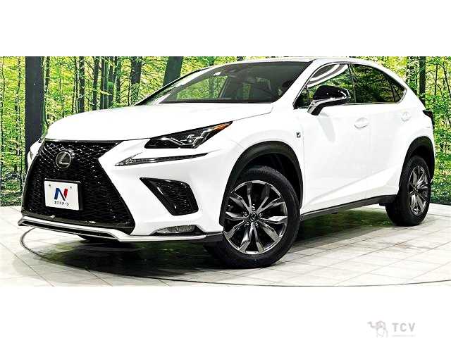 2017 Lexus NX