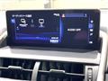 2017 Lexus NX