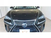 2017 Lexus NX