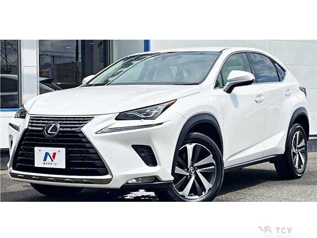 2017 Lexus NX