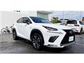 2017 Lexus NX