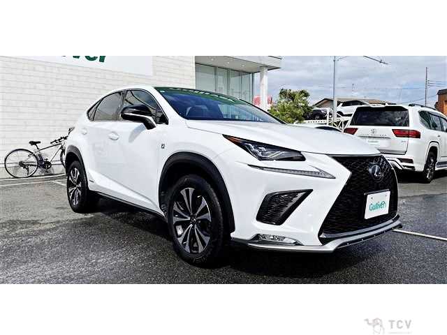 2017 Lexus NX