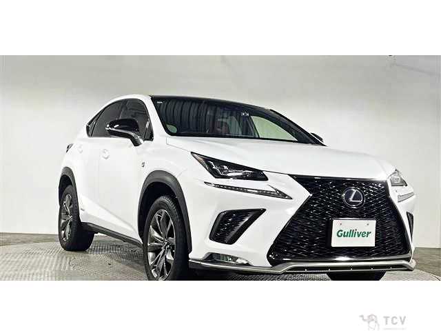 2017 Lexus NX