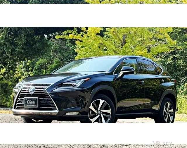 2017 Lexus NX
