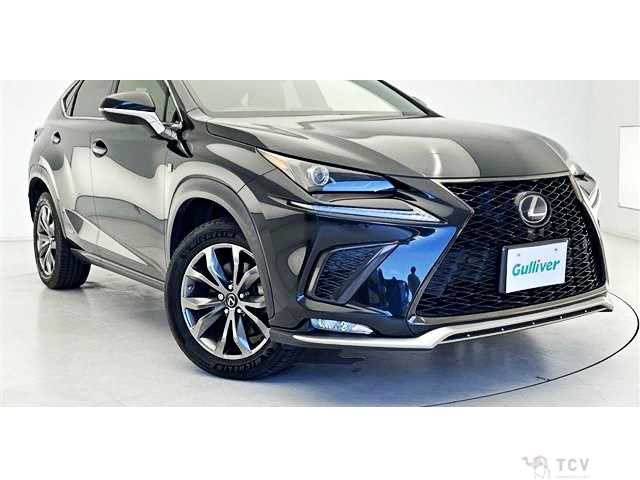 2017 Lexus NX
