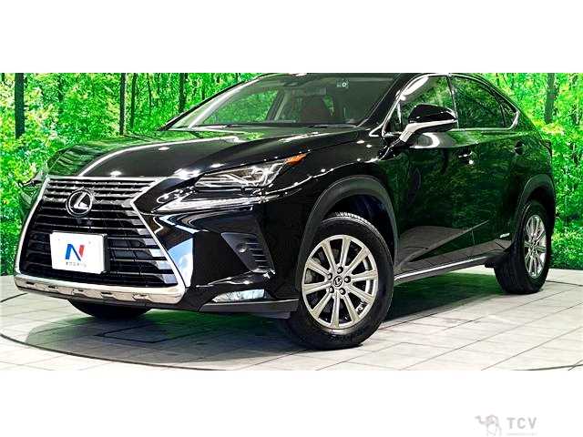 2017 Lexus NX