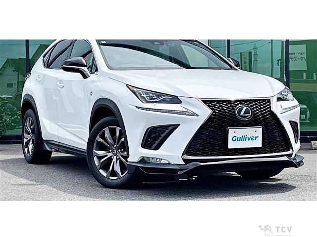 2017 Lexus NX