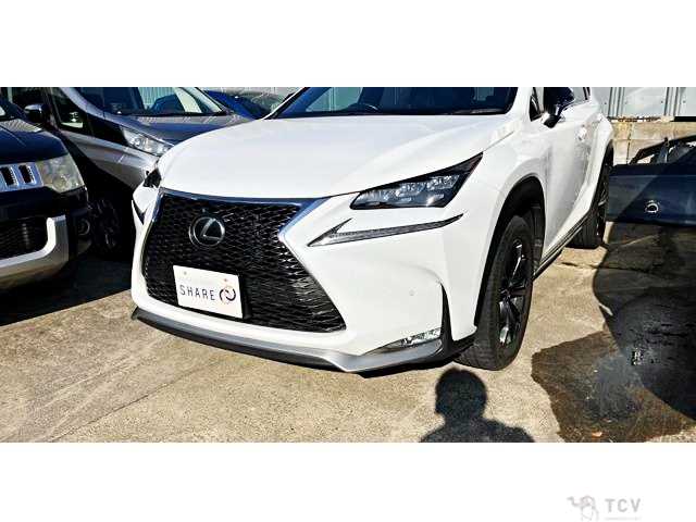2016 Lexus NX