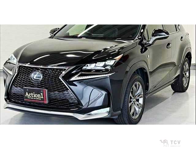 2016 Lexus NX