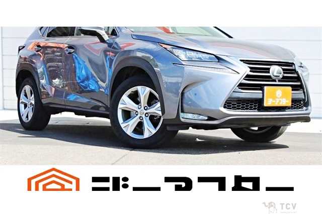 2016 Lexus NX