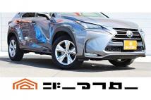 2016 Lexus NX