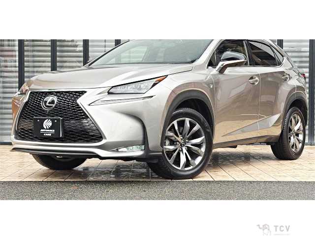 2016 Lexus NX